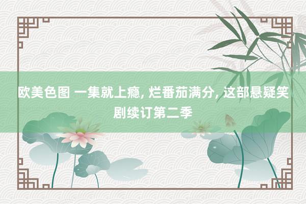 欧美色图 一集就上瘾， 烂番茄满分， 这部悬疑笑剧续订第二季