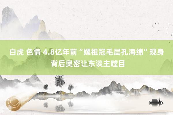 白虎 色情 4.8亿年前“嫘祖冠毛层孔海绵”现身 背后奥密让东谈主瞠目