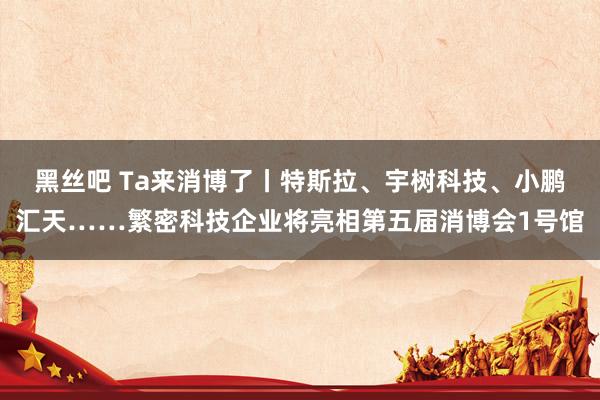 黑丝吧 Ta来消博了丨特斯拉、宇树科技、小鹏汇天……繁密科技企业将亮相第五届消博会1号馆