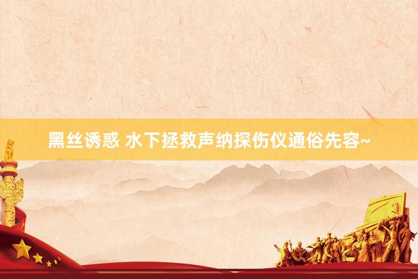 黑丝诱惑 水下拯救声纳探伤仪通俗先容~