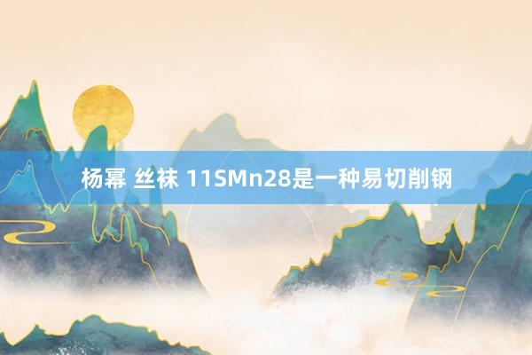 杨幂 丝袜 11SMn28是一种易切削钢