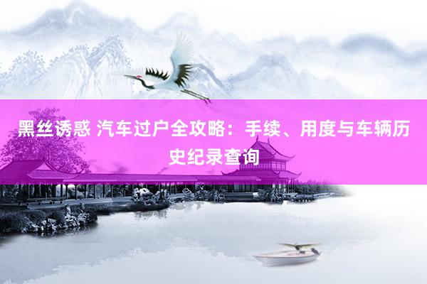 黑丝诱惑 汽车过户全攻略：手续、用度与车辆历史纪录查询