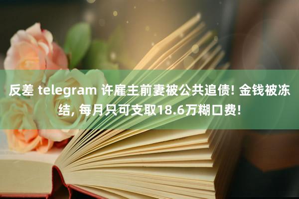 反差 telegram 许雇主前妻被公共追债! 金钱被冻结， 每月只可支取18.6万糊口费!