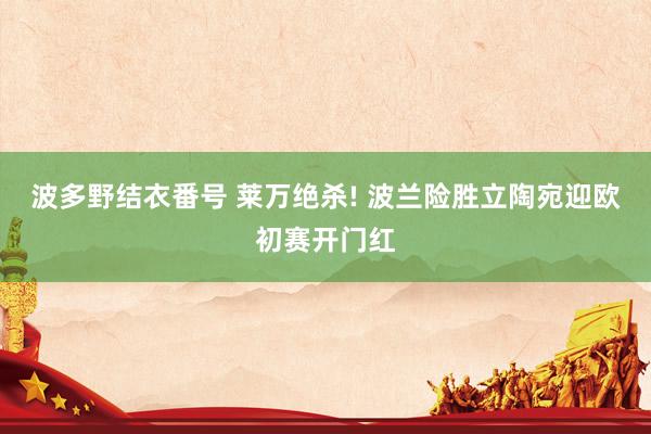 波多野结衣番号 莱万绝杀! 波兰险胜立陶宛迎欧初赛开门红