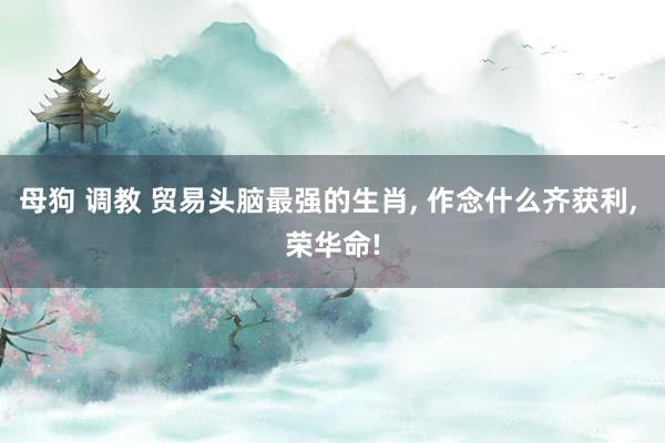 母狗 调教 贸易头脑最强的生肖， 作念什么齐获利， 荣华命!