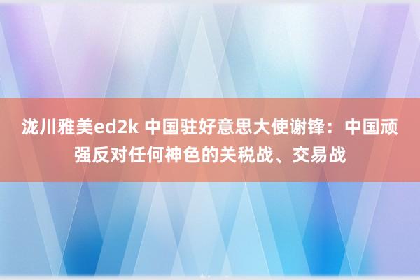 泷川雅美ed2k 中国驻好意思大使谢锋：中国顽强反对任何神色的关税战、交易战