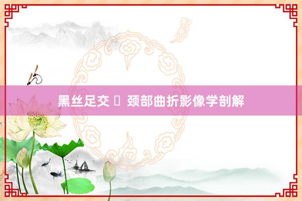 黑丝足交 ​颈部曲折影像学剖解