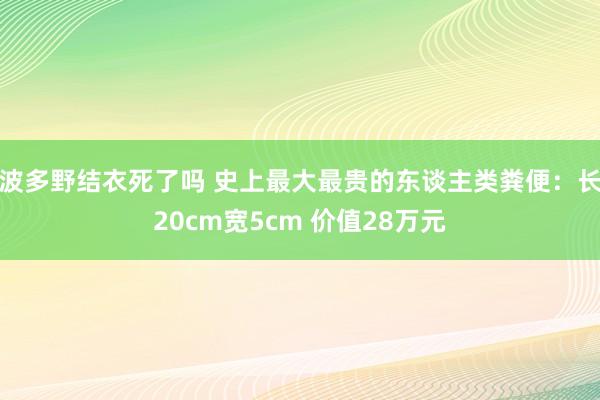 波多野结衣死了吗 史上最大最贵的东谈主类粪便：长20cm宽5cm 价值28万元