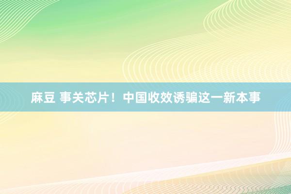 麻豆 事关芯片！中国收效诱骗这一新本事