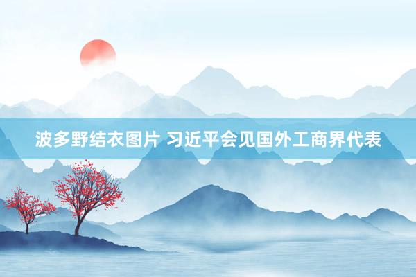 波多野结衣图片 习近平会见国外工商界代表