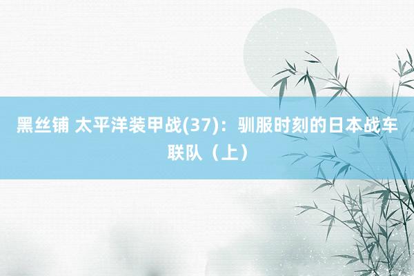 黑丝铺 太平洋装甲战(37)：驯服时刻的日本战车联队（上）